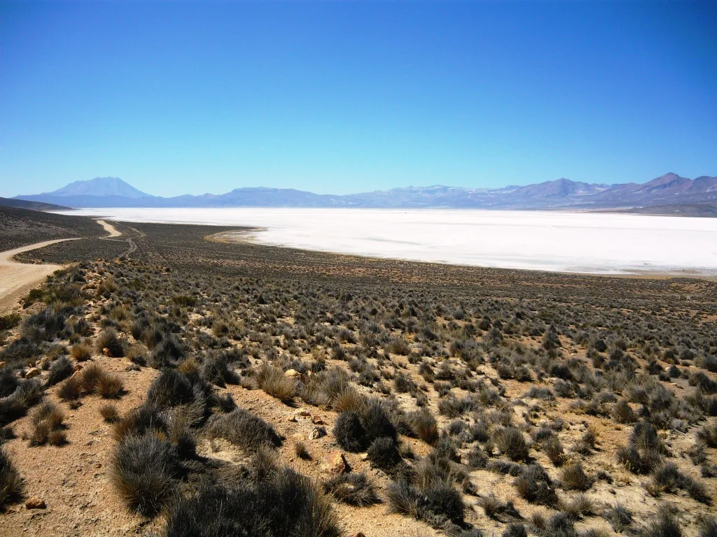 Laguna de Salinas